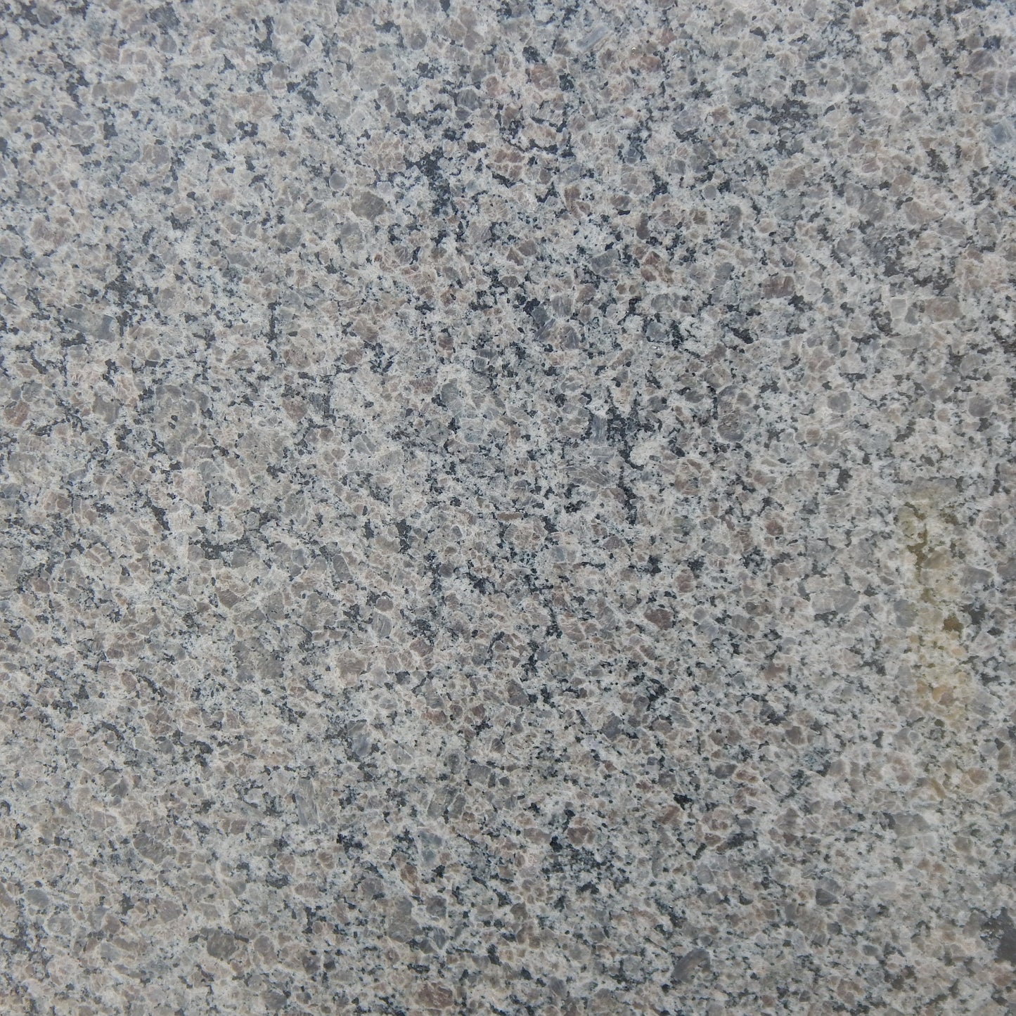 GRANITO CALEDONIA